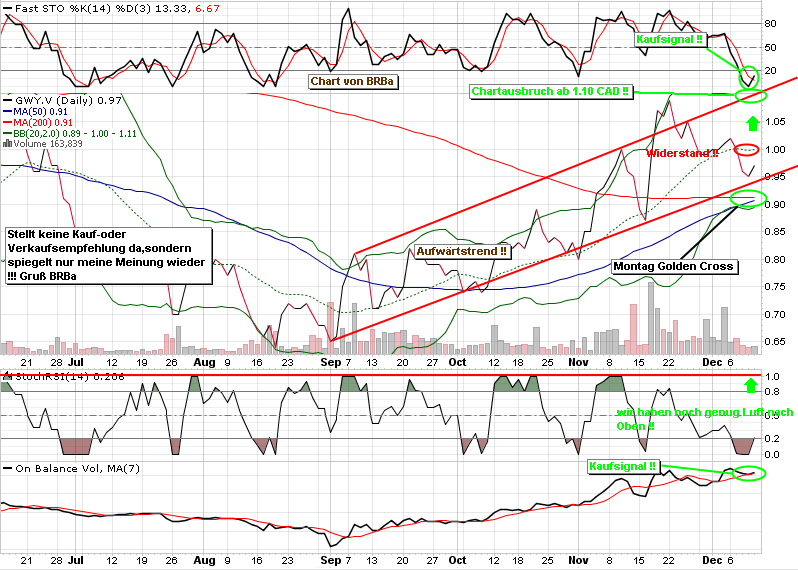 TIPP für Goldminenaktien? 365240