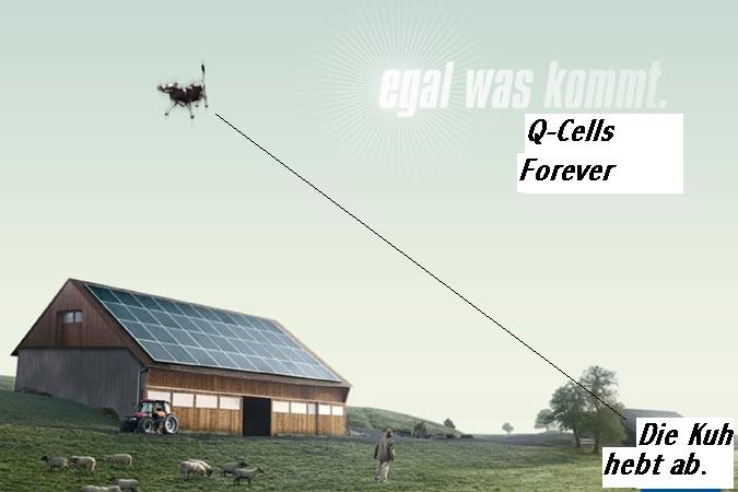 Q-Cells , der Solarzellenriese 205320