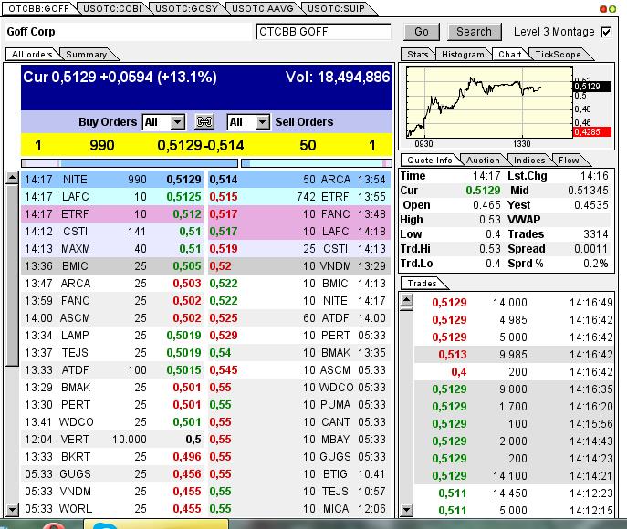 GOFF - neuer APS-Pick 593004