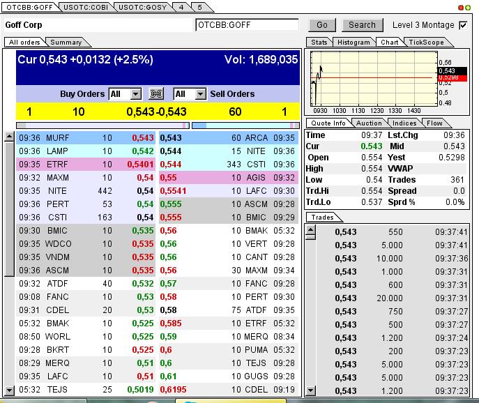 GOFF - neuer APS-Pick 593262