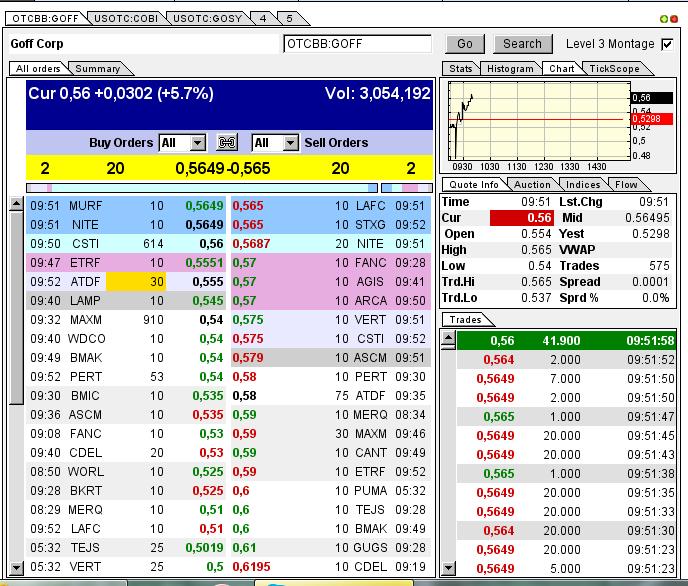 GOFF - neuer APS-Pick 593268