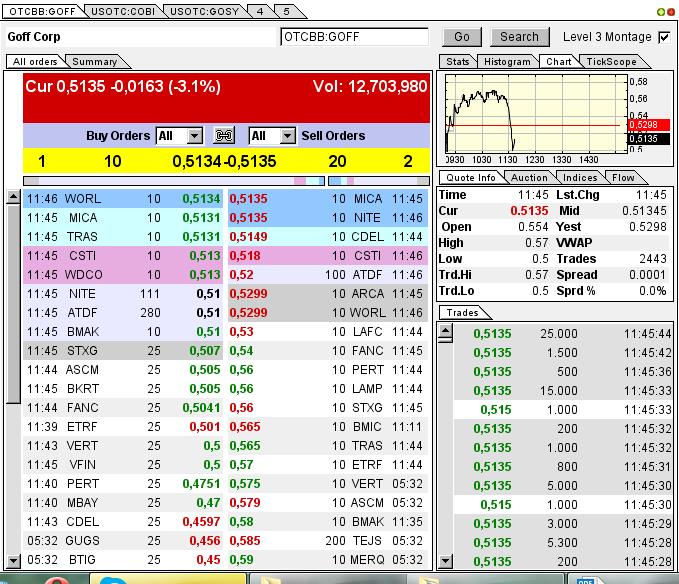 GOFF - neuer APS-Pick 593309