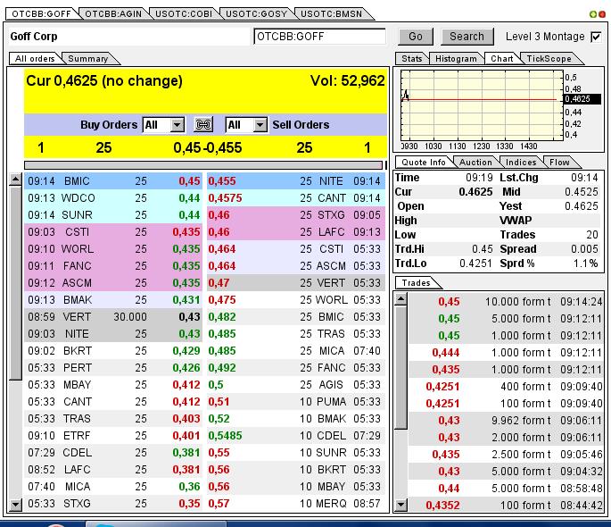 GOFF - neuer APS-Pick 594073