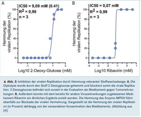 Moleculin Biotech nach R/S 29.01.2021 1233552