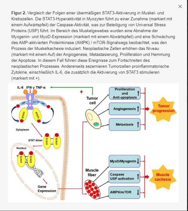 WPD Pharmaceuticals - daher weht der Wind! 1210964
