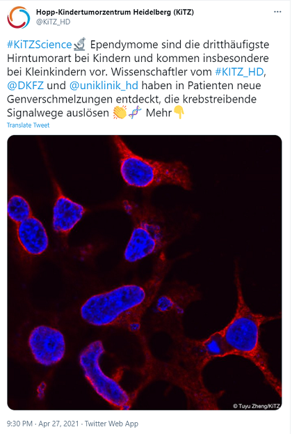 Moleculin Biotech nach R/S 29.01.2021 1249498