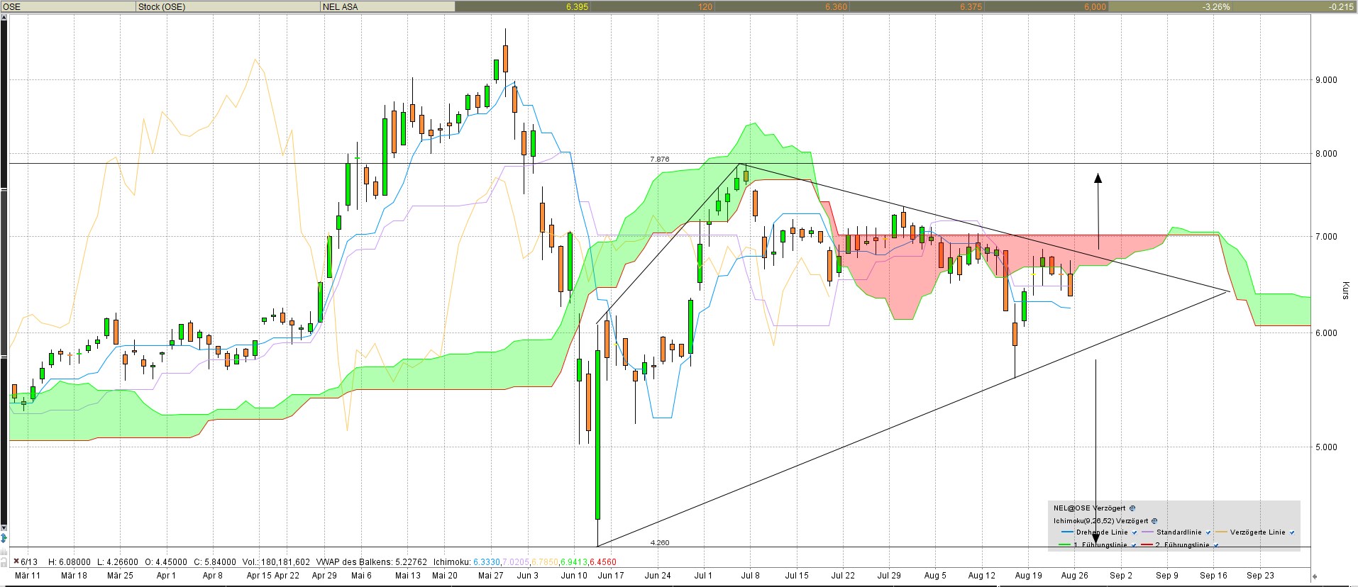 NEL, der Wasserstoffplayer aus Norwegen 1130283