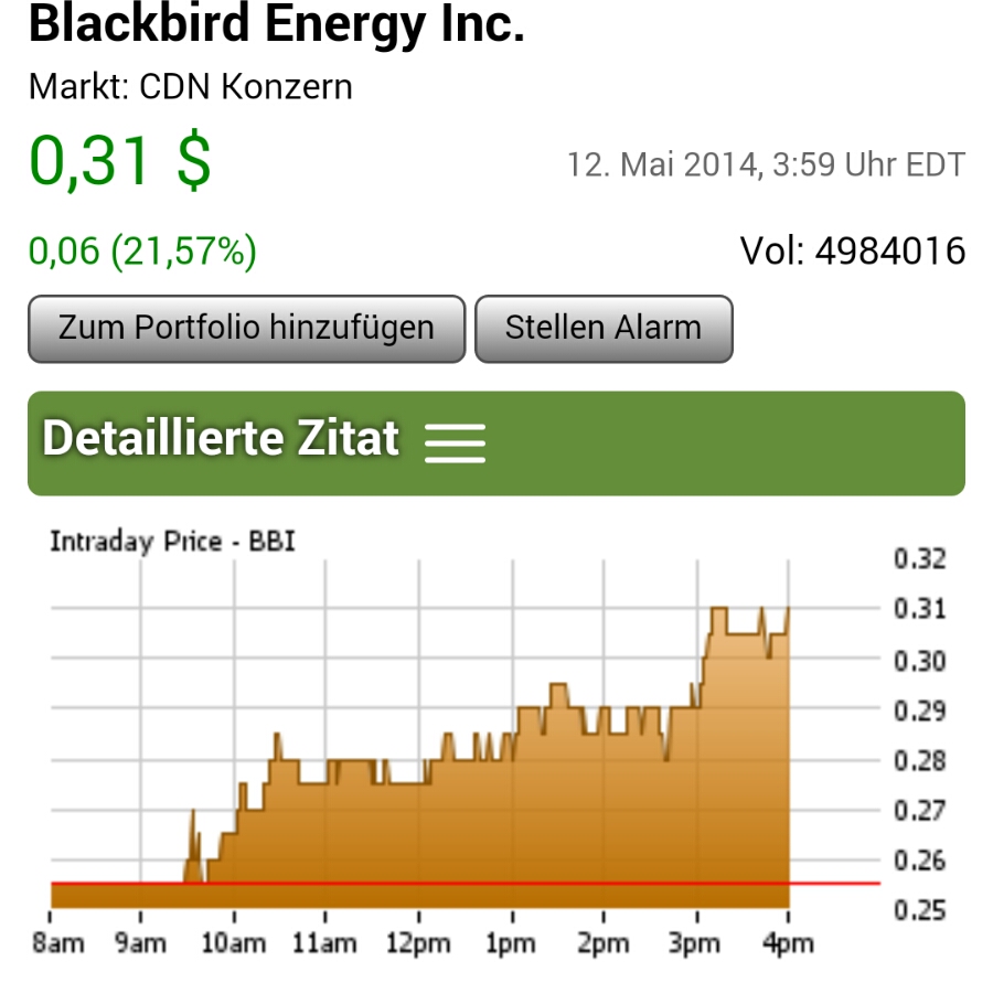 Firmen HP Blackbird Energy INC 722681
