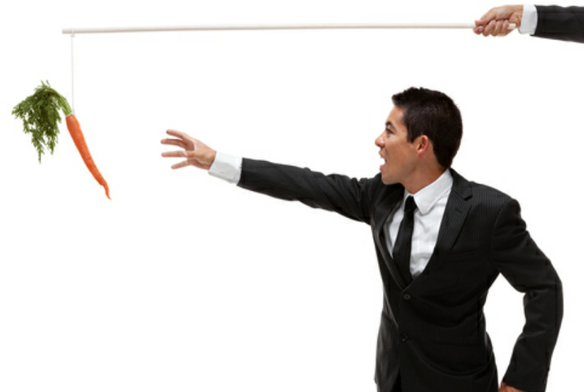 Fundamental Applications 951342