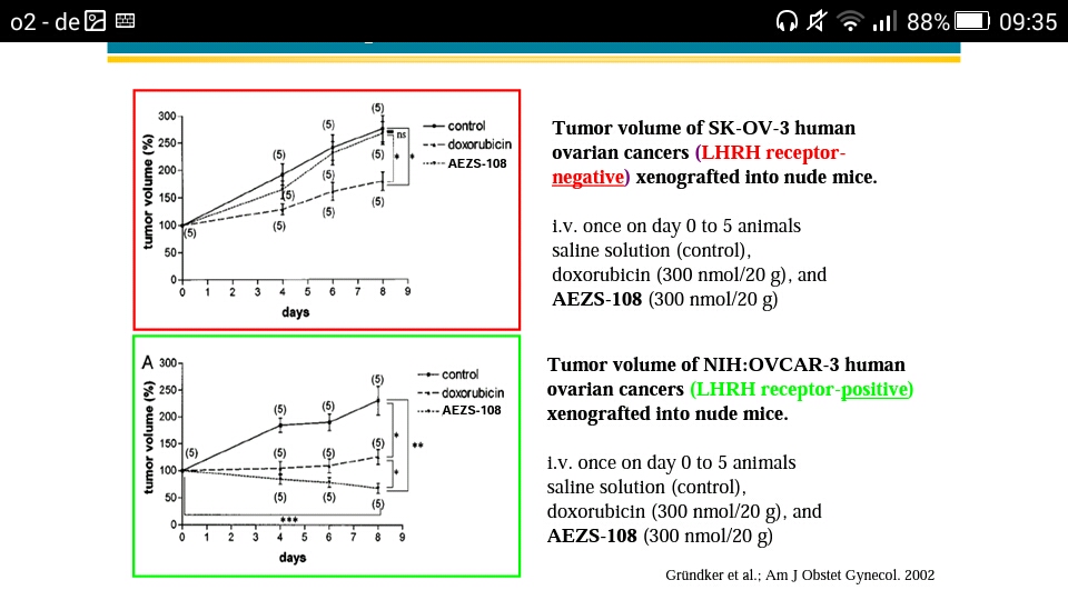 AEZS Transformation zum Big Player 970849