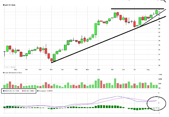 Erstauflage - wikifolio - Trading Baerenstark 1008993