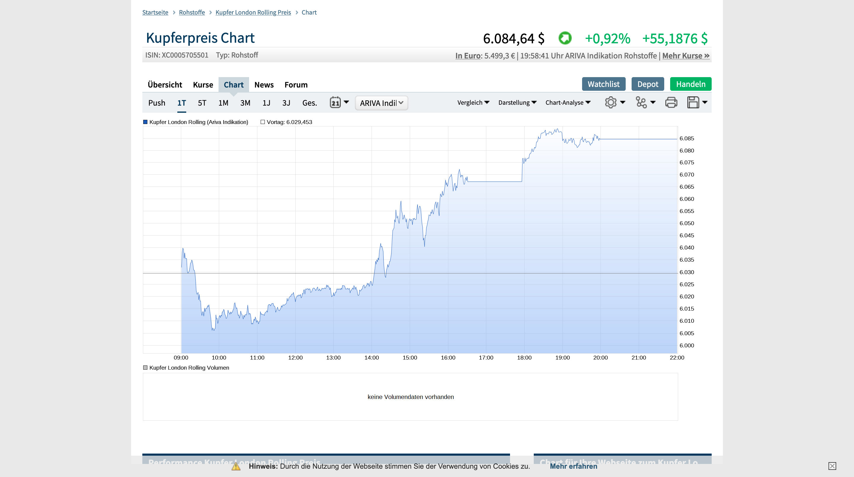 Der USA Bären-Thread 1148460
