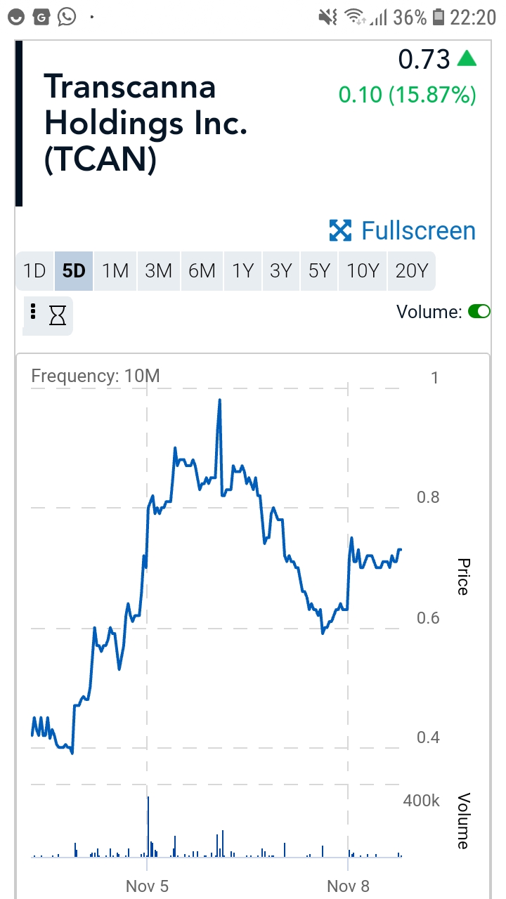 Transcanna Holdings im Aufbruch 1143515