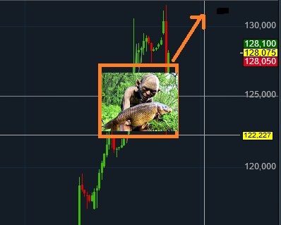 Wirecard 2014 - 2025 1154189