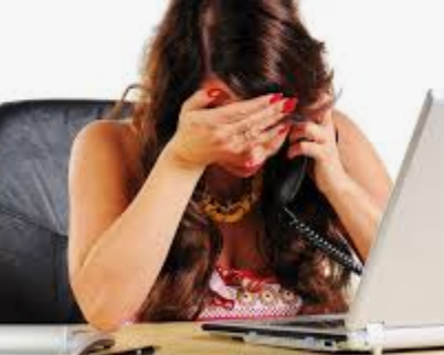 Der USA Bären-Thread 1172997