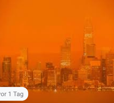 Der USA Bären-Thread 1201040