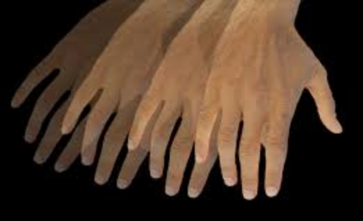 Steinhoff International Holdings N.V. 1206391