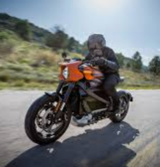 Der USA Bären-Thread 1209150