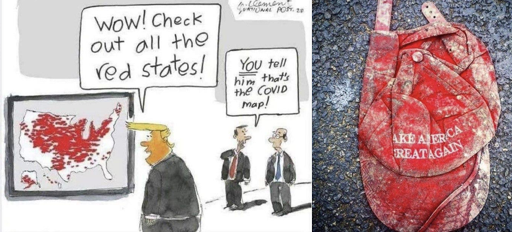 Der USA Bären-Thread 1211326