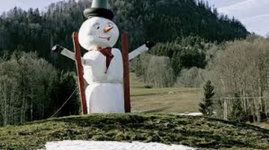 Steinhoff International Holdings N.V. 1216082