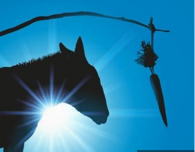 Der USA Bären-Thread 1221052