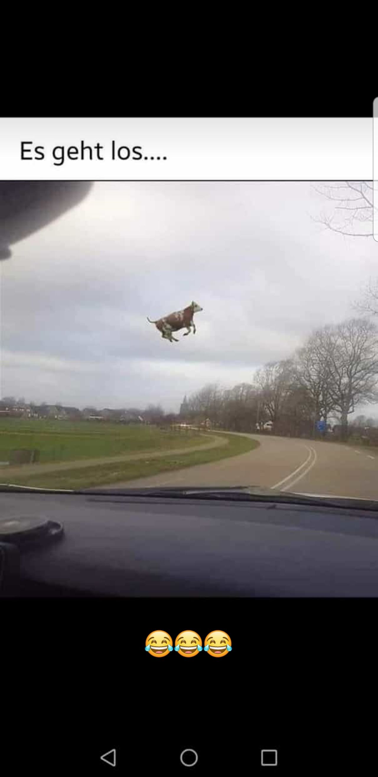 Wirecard 2014 - 2025 1158841