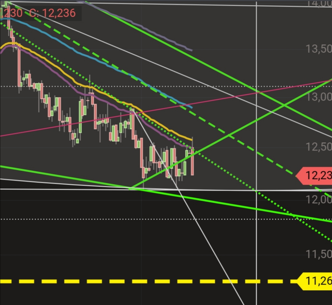 JETZT aber (Royal Dutch) S(c)H(n)ELL. 1200291