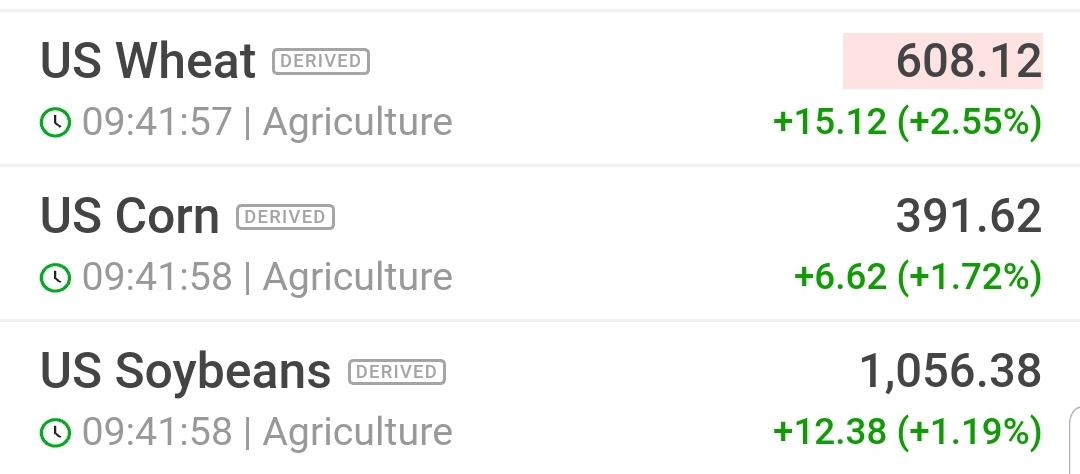 K+S wird unterschätzt 1205354