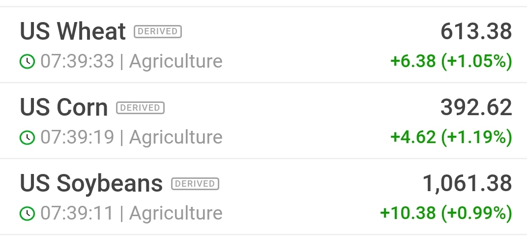 K+S wird unterschätzt 1205565