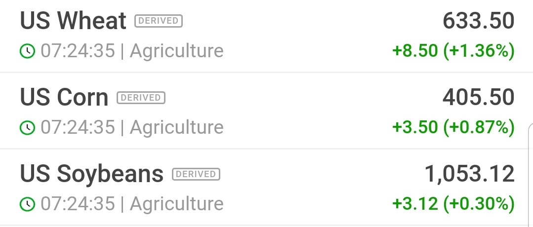 K+S wird unterschätzt 1207476