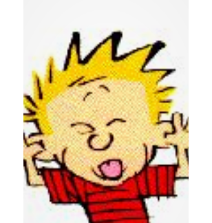 Der USA Bären-Thread 1230104