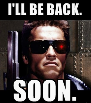 Steinhoff International Holdings N.V. 1232446