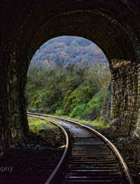 Steinhoff International Holdings N.V. 1270774