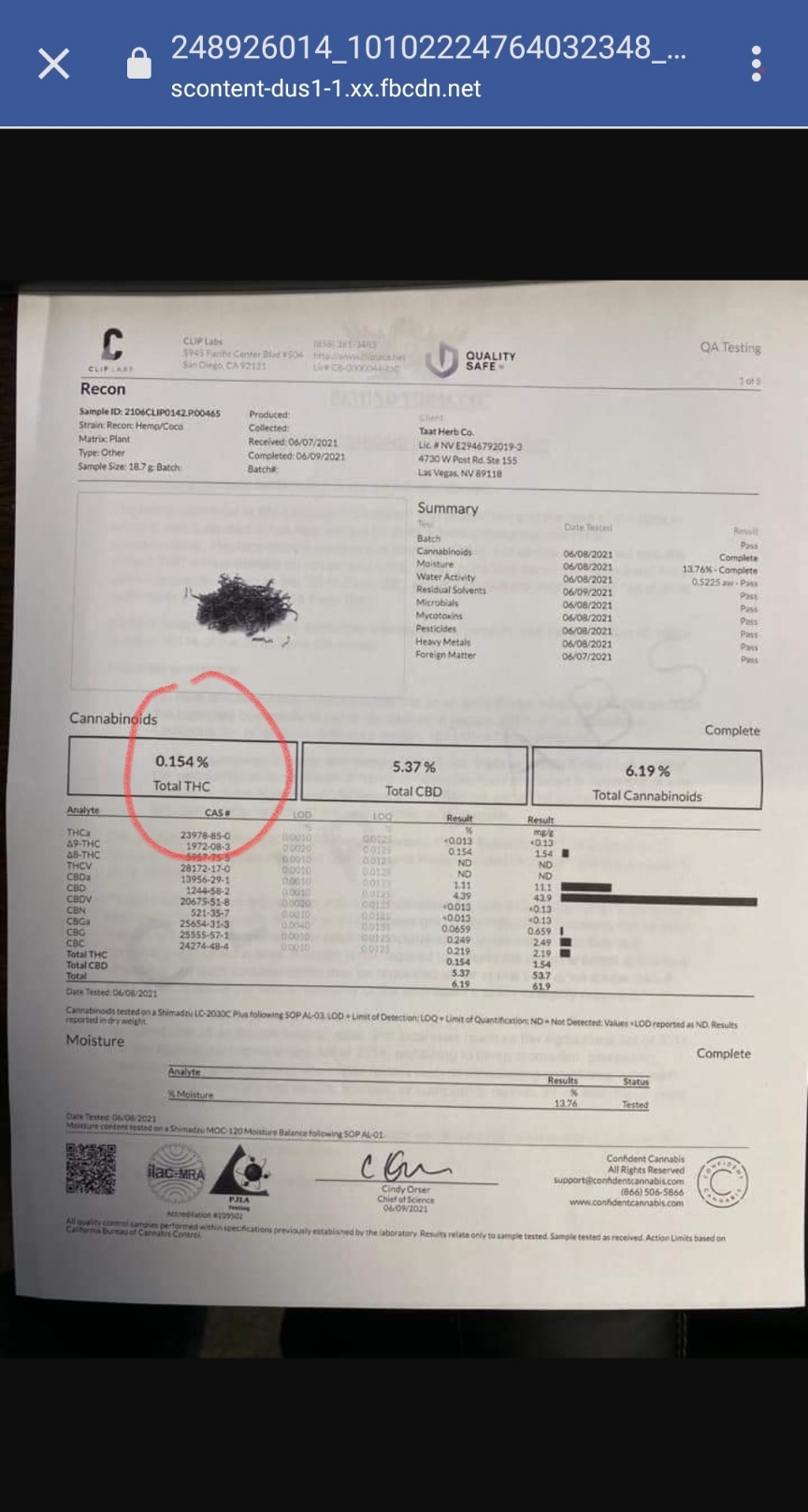 TAAT - Revolution am Tabakmarkt oder heiße Luft? 1280660