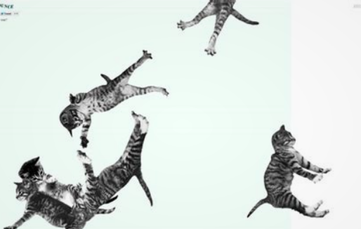 Der USA Bären-Thread 1320305