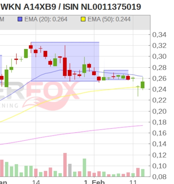 Steinhoff Informationsforum 1299758