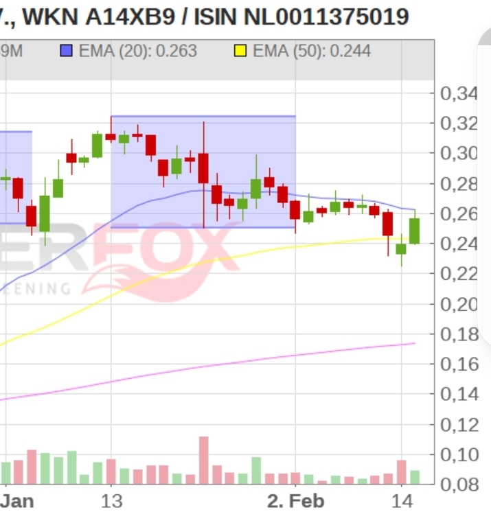 Steinhoff Informationsforum 1299765