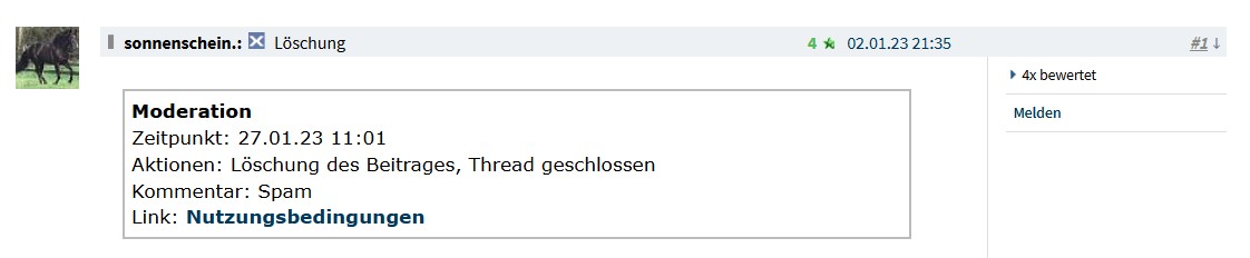 NIKOLA Corporation US6541101050 Nachfolge Thread V 1353753