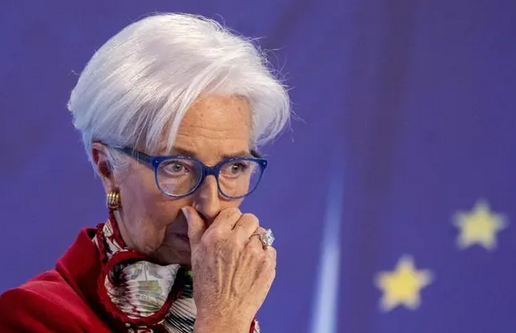 Der USA Bären-Thread 1362532