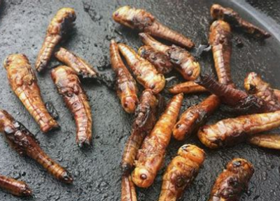 Ab heute (fast) alles neu bei AT1 1372085