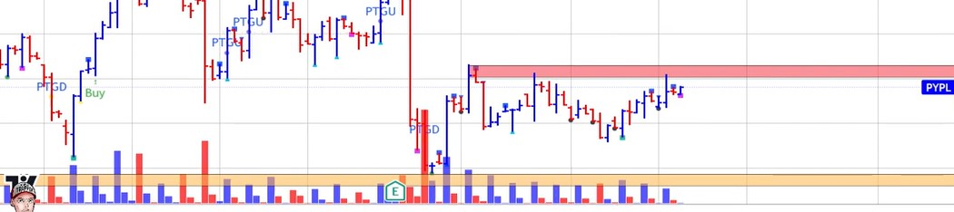 PayPal - entfesselt 1417370