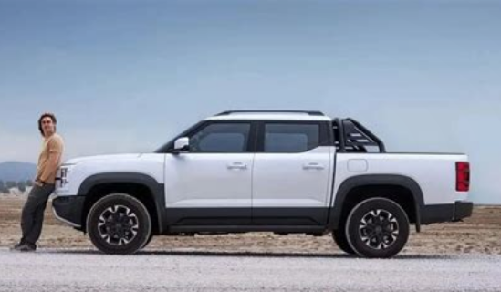 Auto- und Batterien-Herstellers BYD 1429828