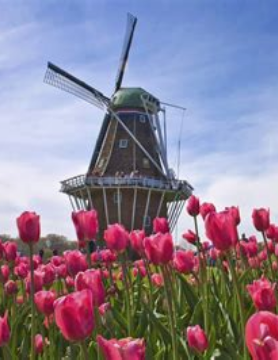 Bitcoins der nächste Monsterhype steht bevor! 1446116