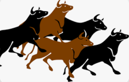 Medical Properties 1448157