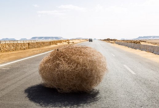 QuoVadisDax - das Original - Nachfolgethread 1448553