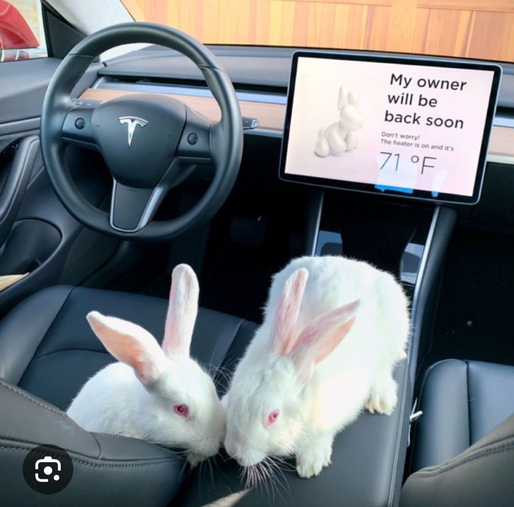 Tesla - Autos, Laster, Speicher und Solardächer 1422512