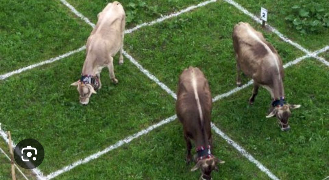 Tesla Model S 22-Jun-2012 die CHANCE 1426003