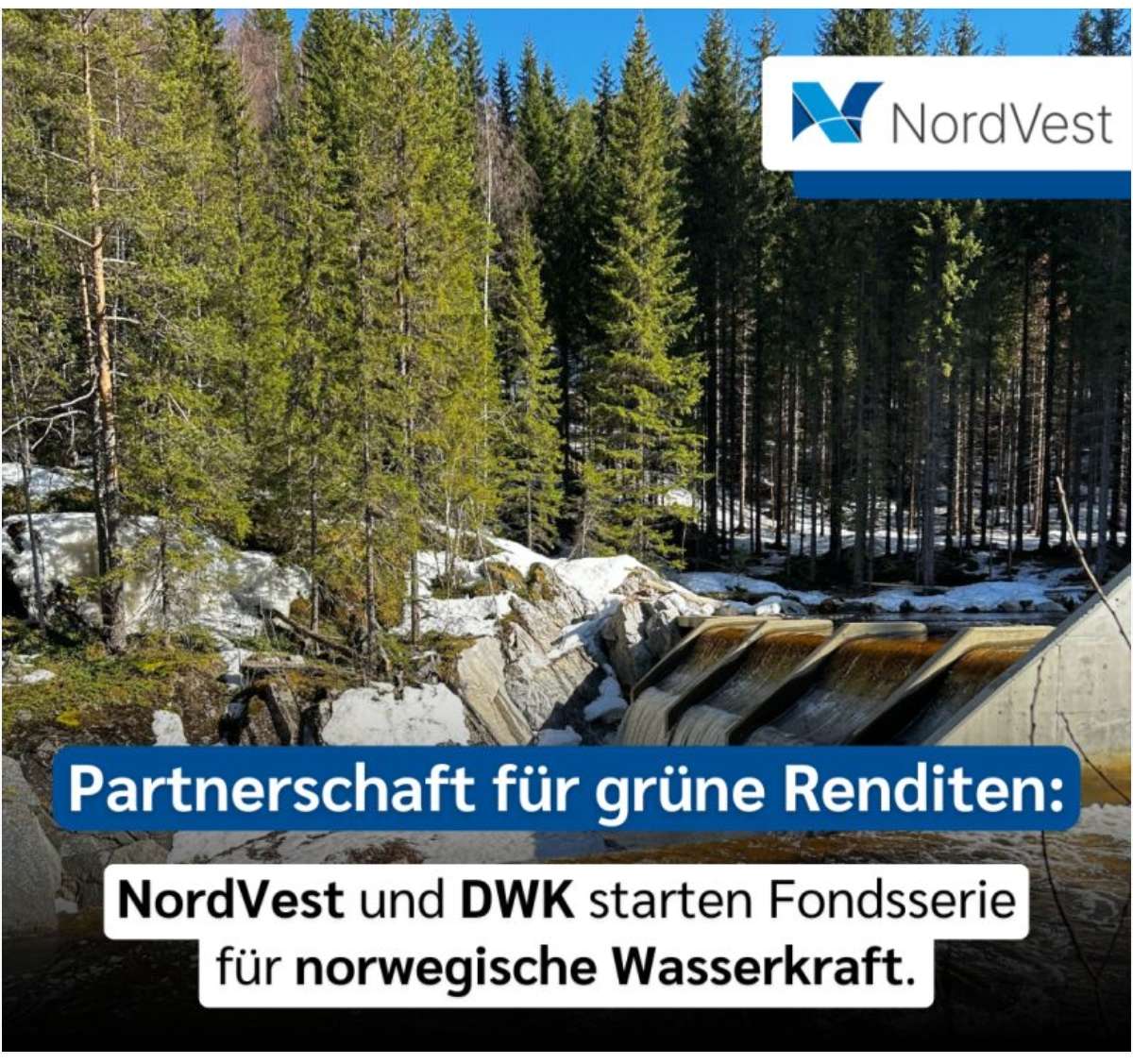 DWK Deutsche Wasserkraft AG 1481444