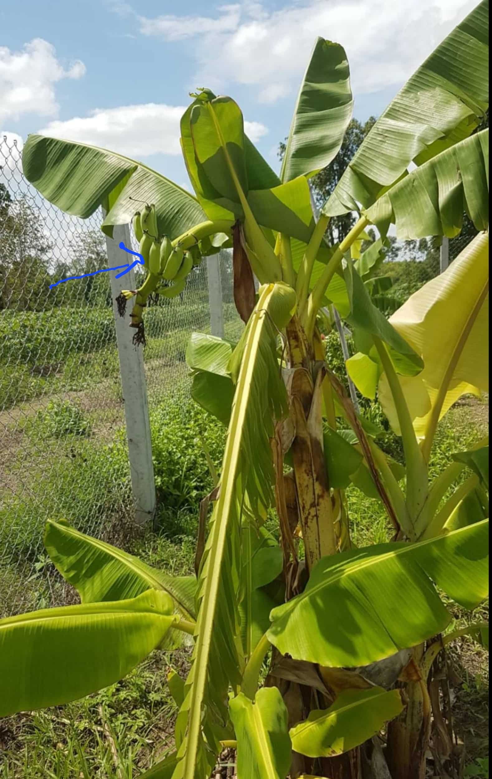 QuoVadisDax - das Original - Nachfolgethread 1483168