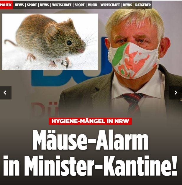 QV ultimate (unlimited) 1193282